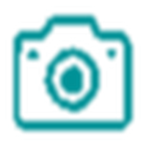 Giám sát camera